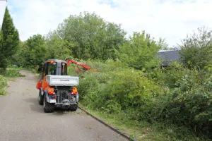 C70SC-Mowing-02Ausleger_DK17