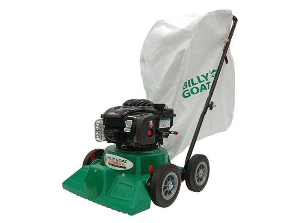 LB352. 800_600png