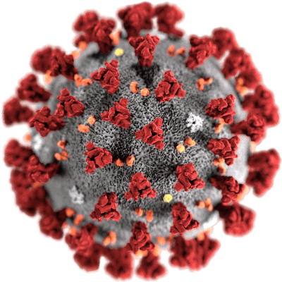 standard_2019-nCoV-CDC-23312_without_background-400×400