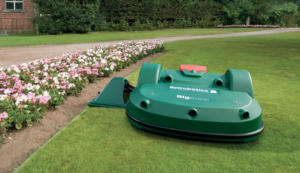 Bigmow_3